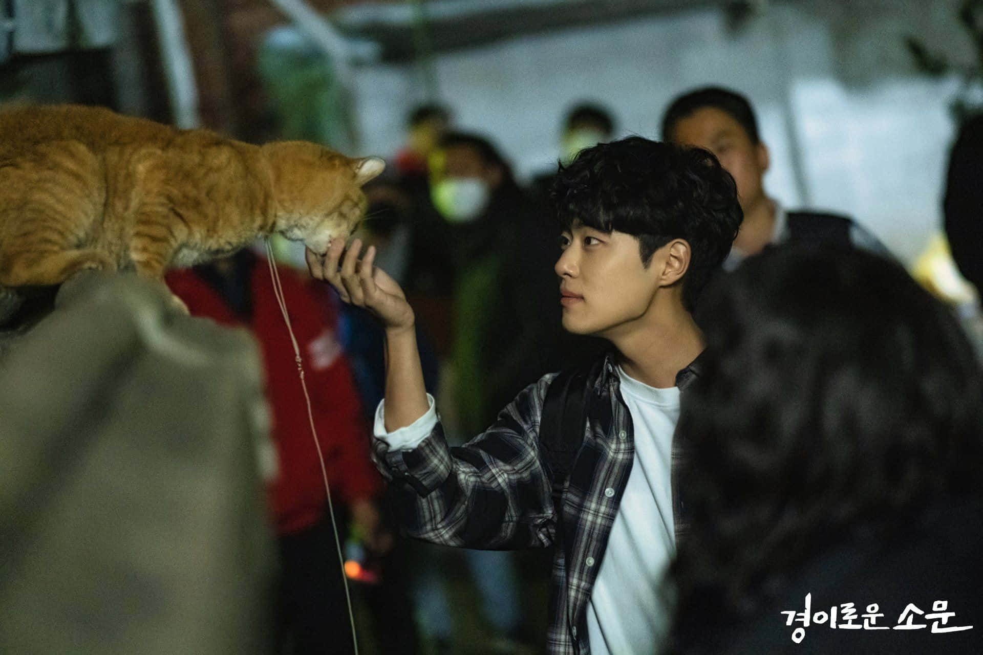 So Moon - The Uncanny Counter En Action Fond d'écran