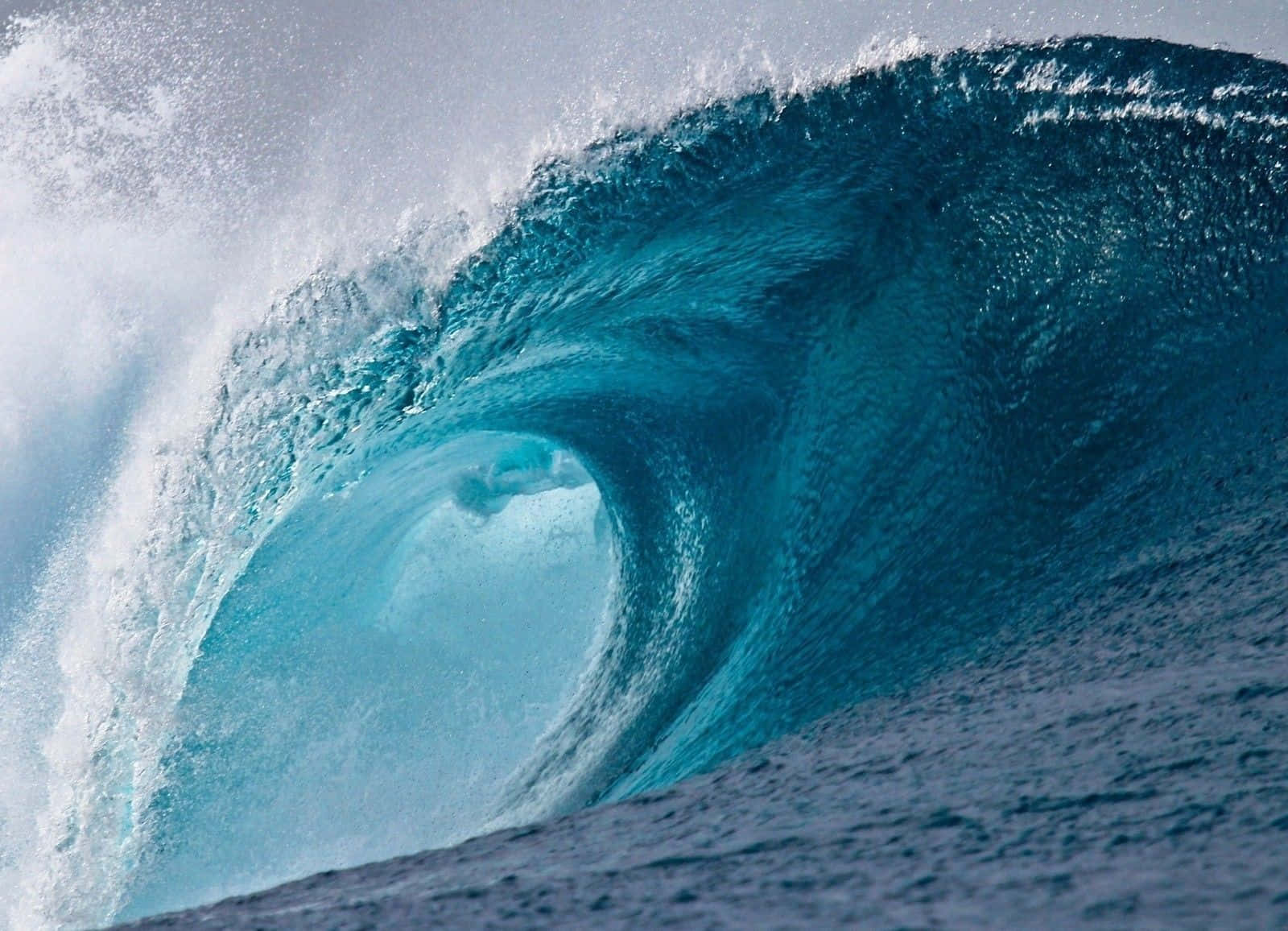 Majestic Waves Crashing on the Shoreline