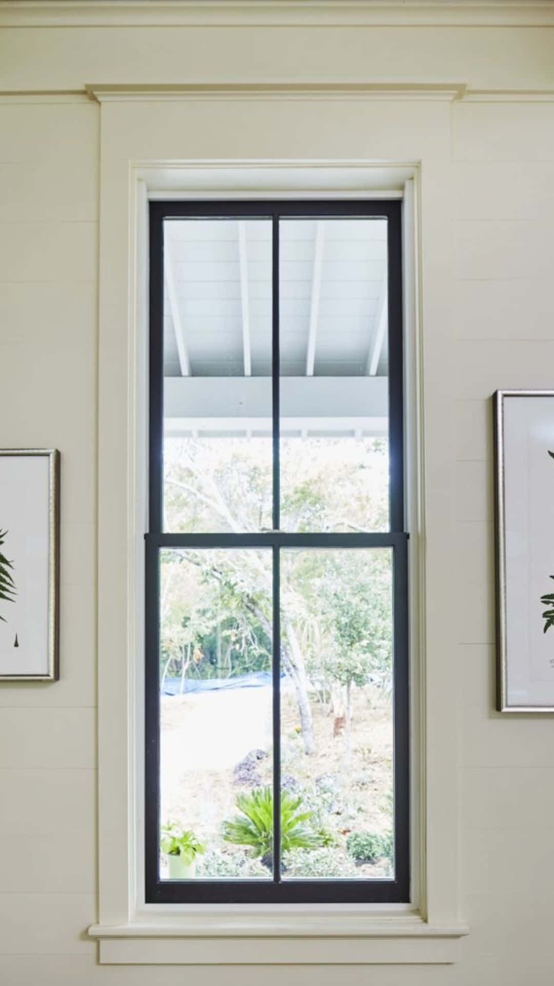 A View of City From a Window