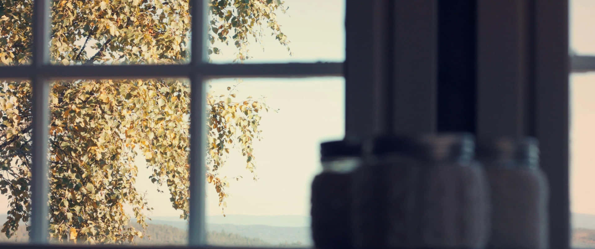 "A picturesque view of a window with a city backdrop."