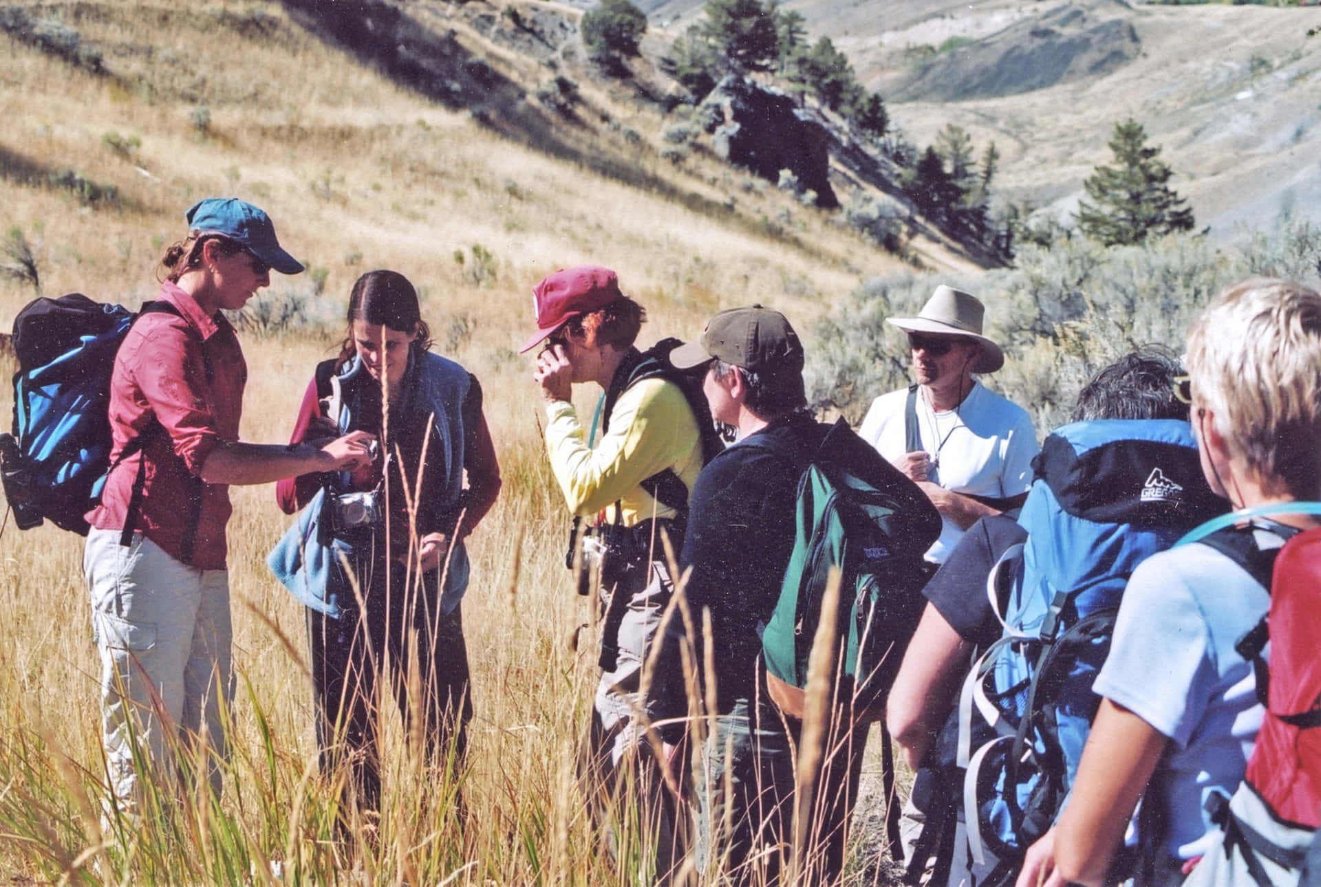 Yellowstone Hikers On A Field Background