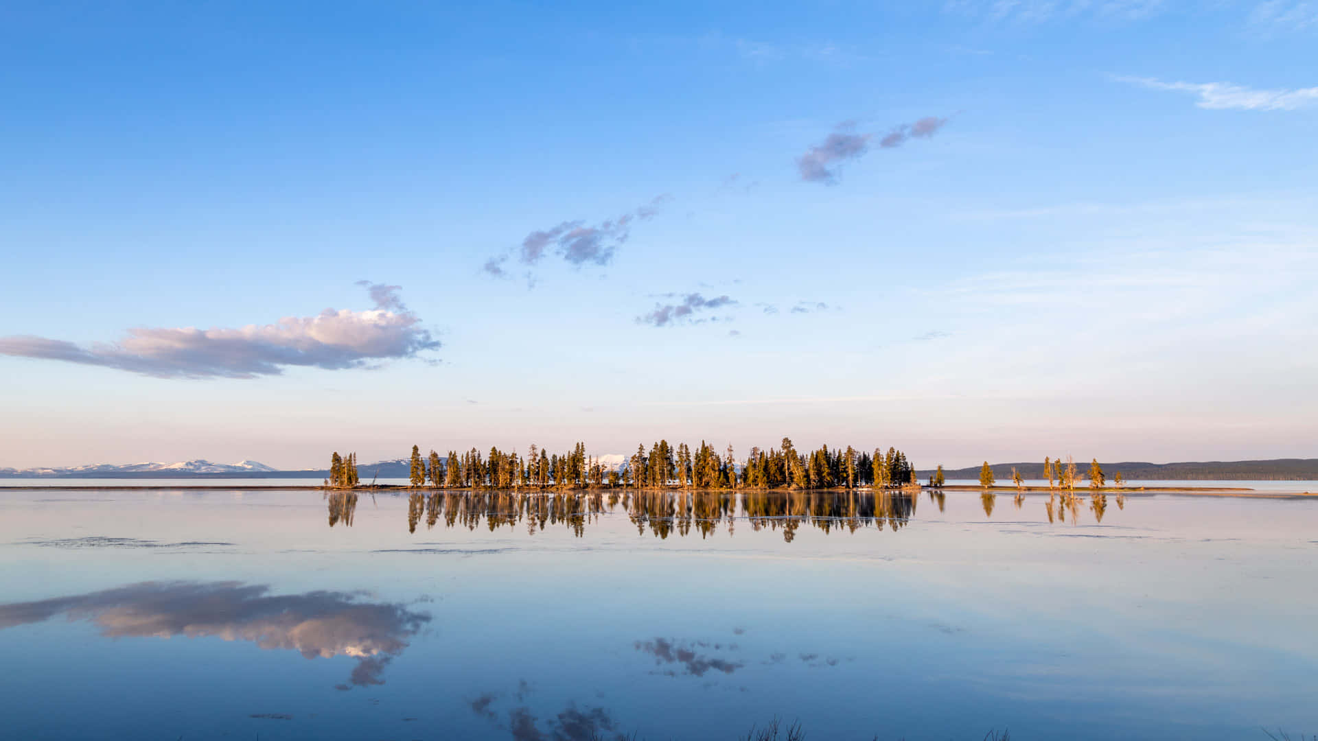 Yellowstone Small Island Between The Lake Background