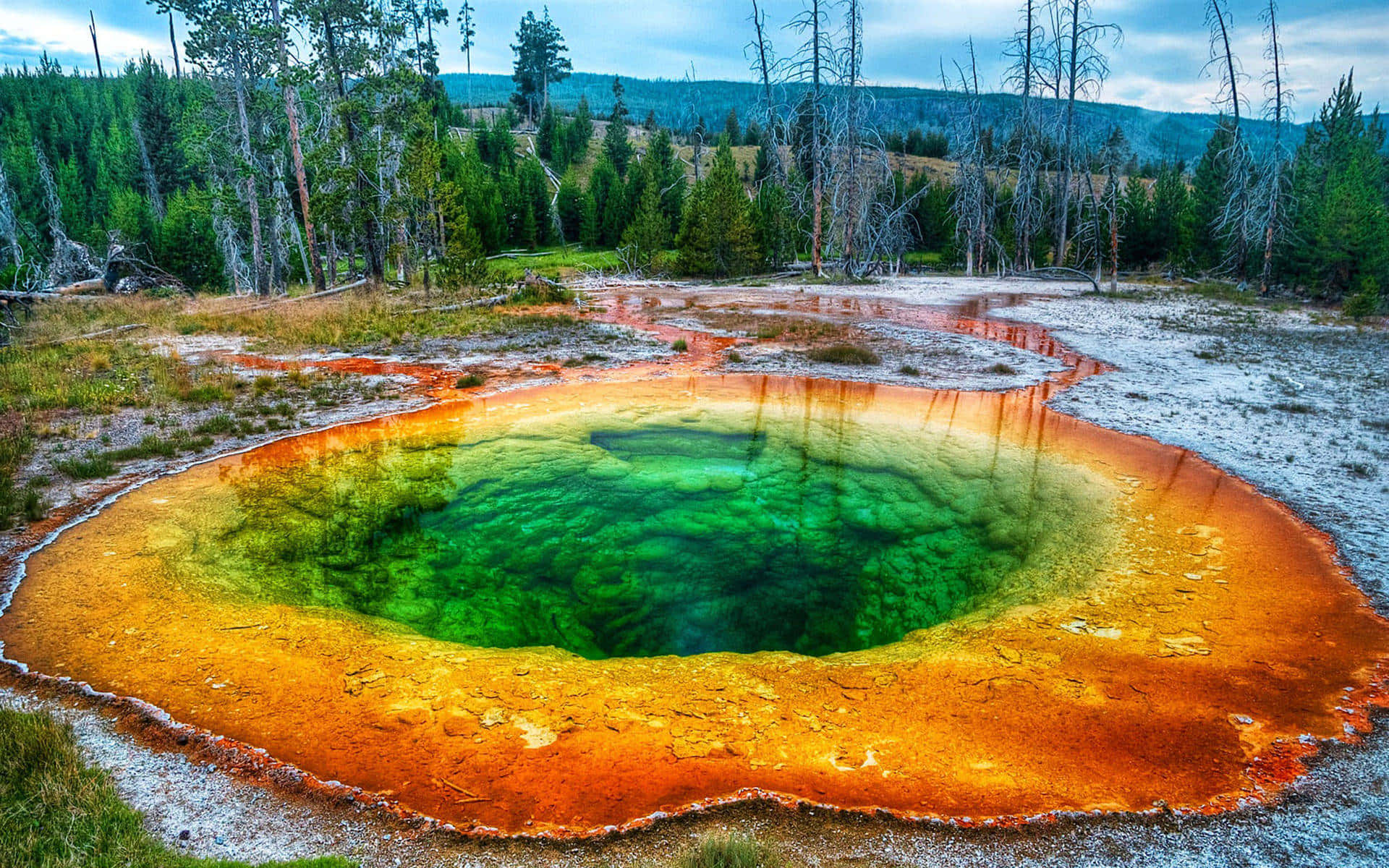 Yellowstone Green Algae Spring Background